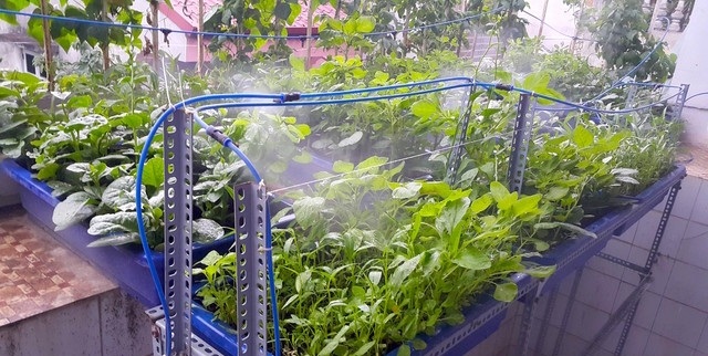 he thong phun suong tuoi cay 1 - Hệ thống phun sương tưới cây ý tưởng tuyệt vời cho khu vườn của bạn