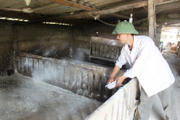khu mui hoi chuong heo  - Khử mùi hôi chuồng heo, chuồng trại chăn nuôi hiệu quả nhất